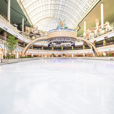Lotte World Ice Garden 5