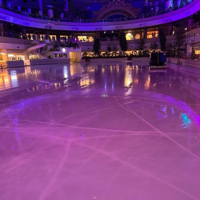 Lotte World Ice Garden 6