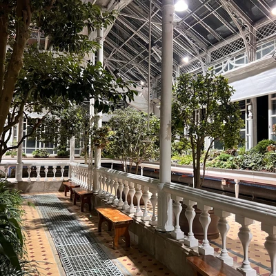 Changgyeonggung Palace 5