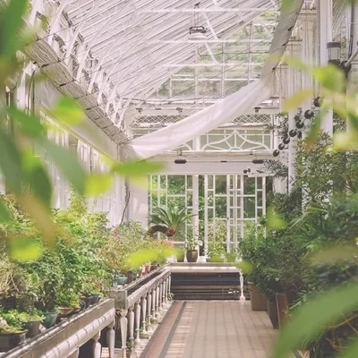 Changgyeonggung Palace 6