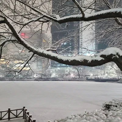 Seokchon Lake & Magic Castle 6